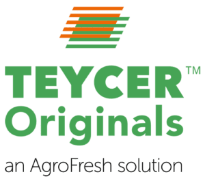 Teycer Originals