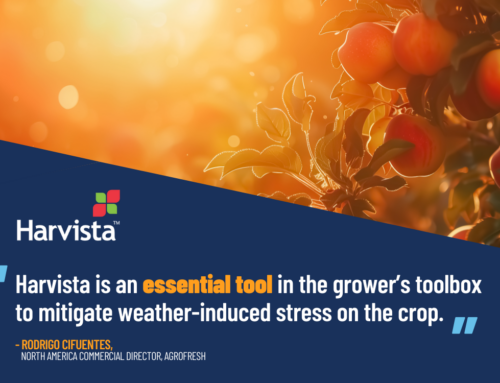 Harvista Offers Solution for Growers Facing Extreme Heat this Summer